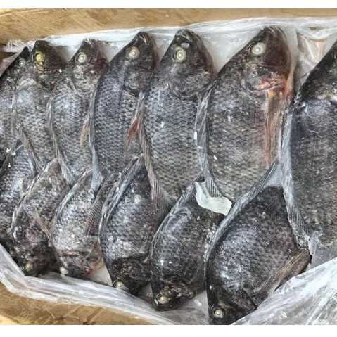 I want to buy tilapia and tuna