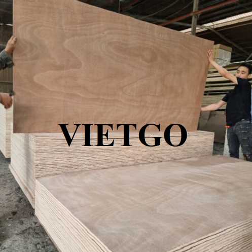 Thương vụ xuất khẩu gỗ dán bao bì sang thị trường Ấn Độ