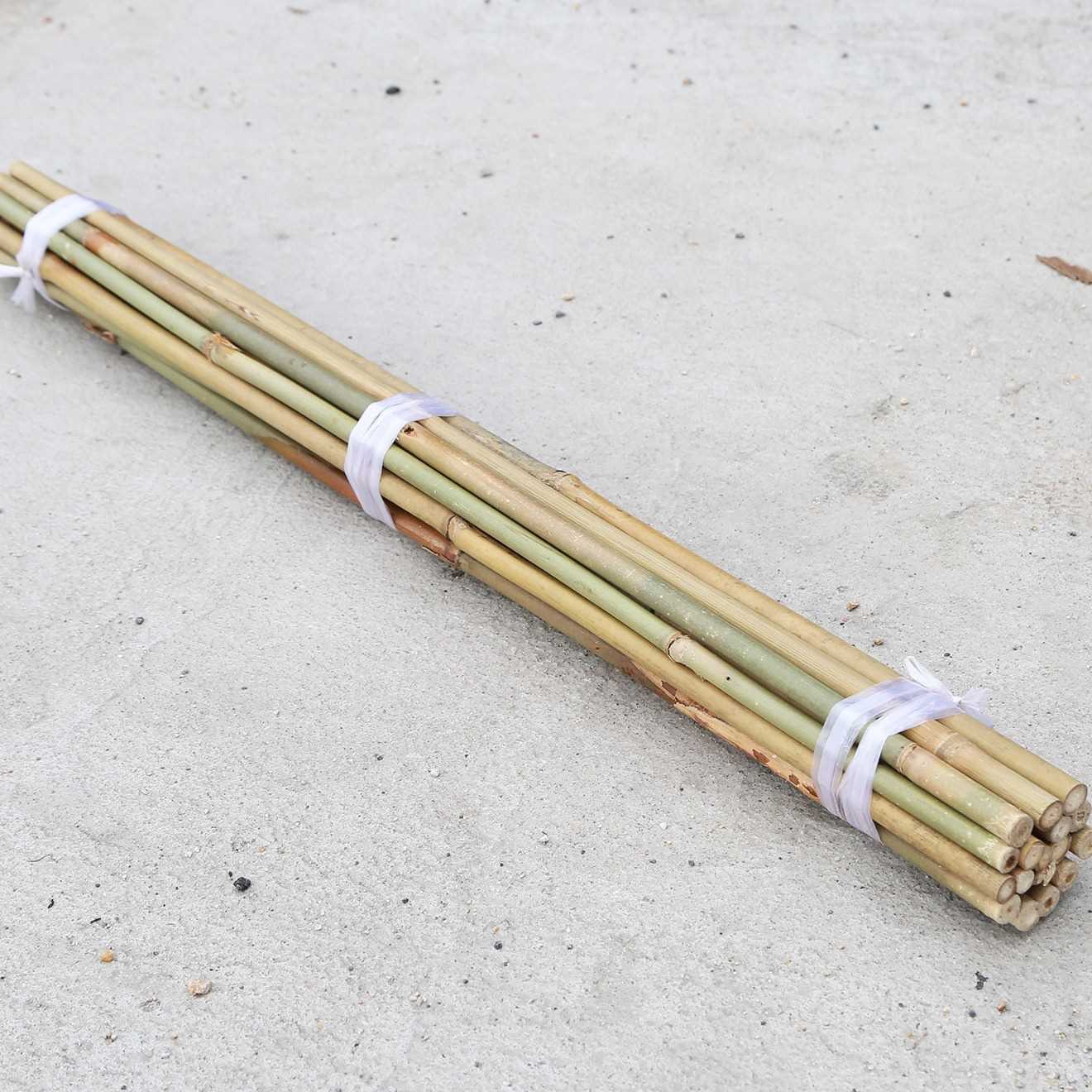 i want to buy bamboo pole