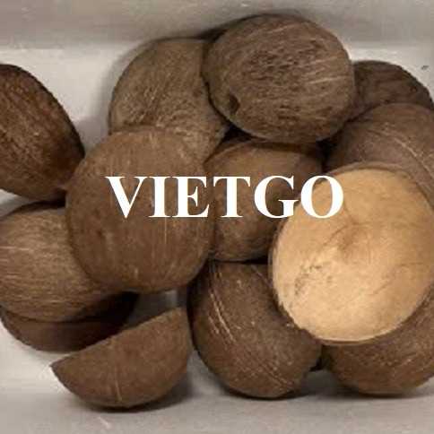 Cơ hội xuất khẩu gáo dừa khô sang thị trường Trung Quốc