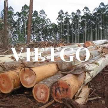 Thương vụ xuất khẩu gỗ bạch đàn tròn đến thị trường Ấn Độ 