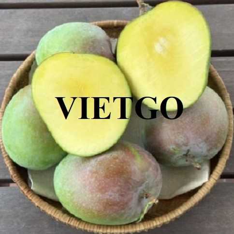 Thương vụ xuất khẩu xoài tươi cùng vị khách người Thổ Nhĩ Kỳ