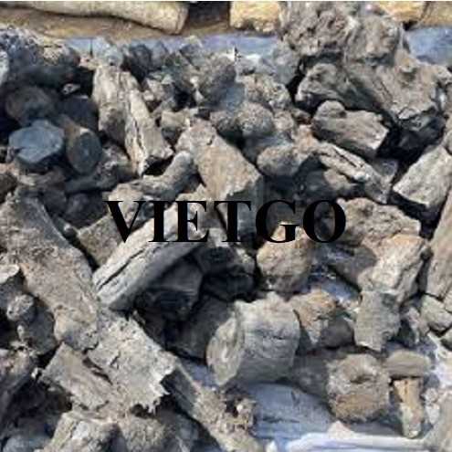 Cơ hội xuất khẩu than củi đen và than dừa tới từ vị khách hàng người Ai Cập 