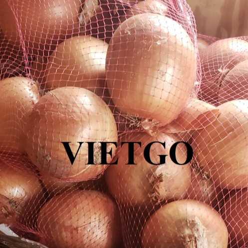Cơ hội xuất khẩu hành tím và hành tây đến thị trường Ả Rập Xê Út