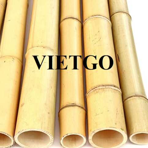 Cơ hội cung cấp gậy tre cho doanh nghiệp đến từ Đức