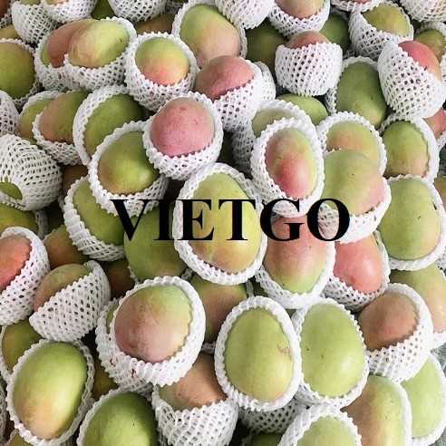 Cơ hội xuất khẩu xoài Úc sang thị trường Oman