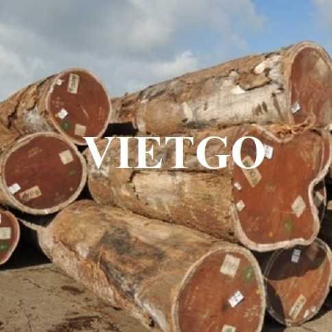 Cơ hội xuất khẩu gỗ teak tròn sang thị trường UAE