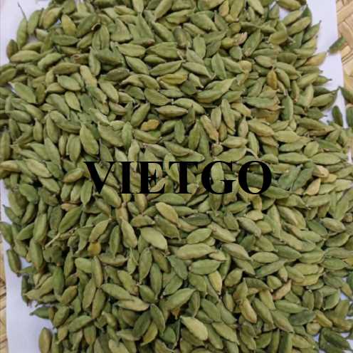 Cơ hội hợp tác xuất khẩu thảo quả đến thị trường Bangladesh    
