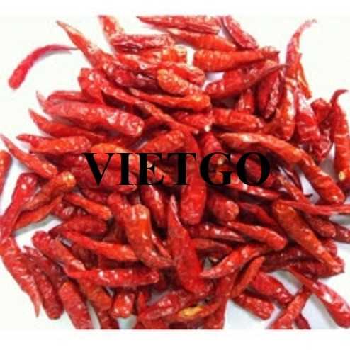 Cơ hội hợp tác xuất khẩu ớt khô đến thị trường Ấn Độ