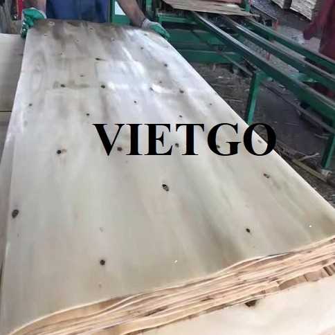 Thương vụ xuất khẩu sản phẩm ván bóc cao su đến thị trường Ai Cập