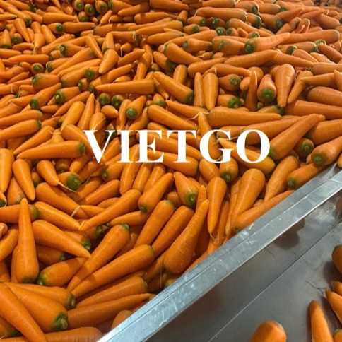 Cơ hội xuất khẩu cà rốt sang thị trường Bangladesh