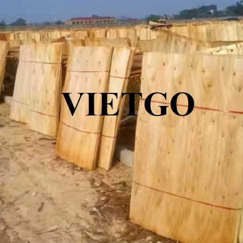 Thương vụ xuất khẩu ván bóc sang thị trường Ấn Độ