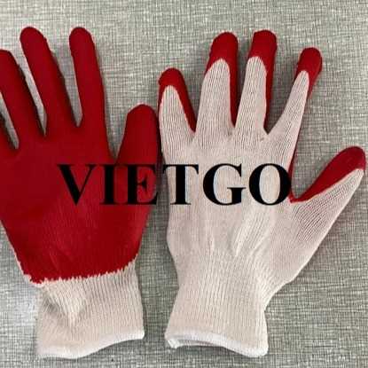 Thương vụ xuất khẩu găng tay lao động sang thị trường Hàn Quốc