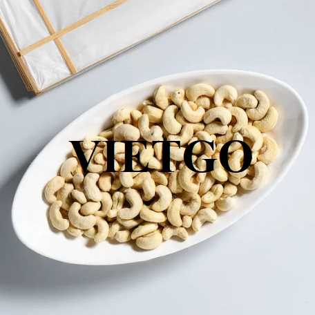 Cơ hội hợp tác xuất khẩu hạt điều đến thị trường Ấn Độ 