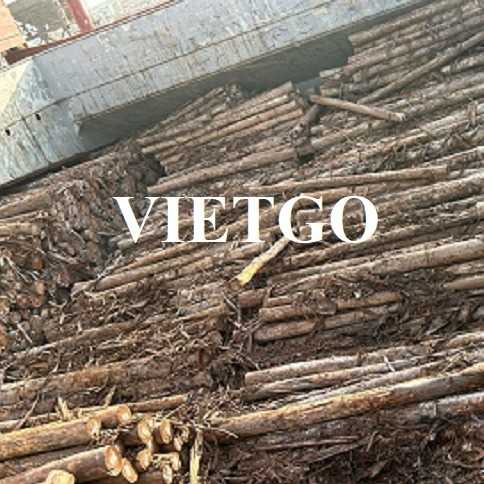 Cơ hội hợp tác xuất khẩu gỗ bạch đàn tròn tới thị trường Ấn Độ