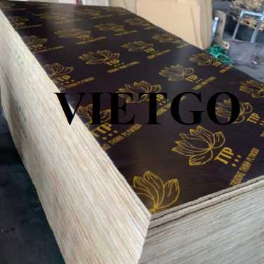 Thương vụ xuất khẩu sản phẩm gỗ dán phủ phim đến thị trường UAE