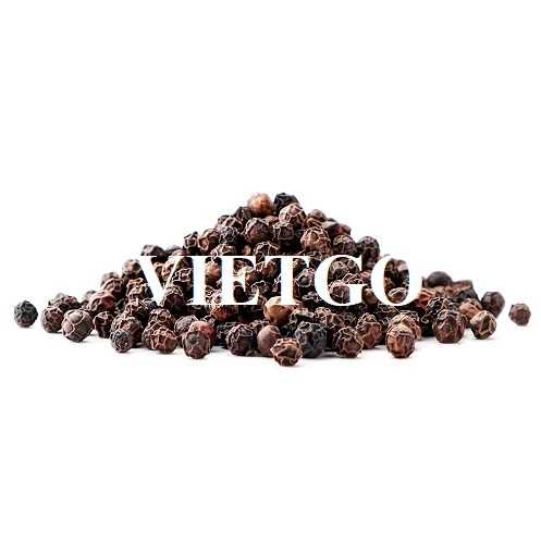 Cơ hội xuất khẩu hạt tiêu đen sang thị trường Ấn Độ