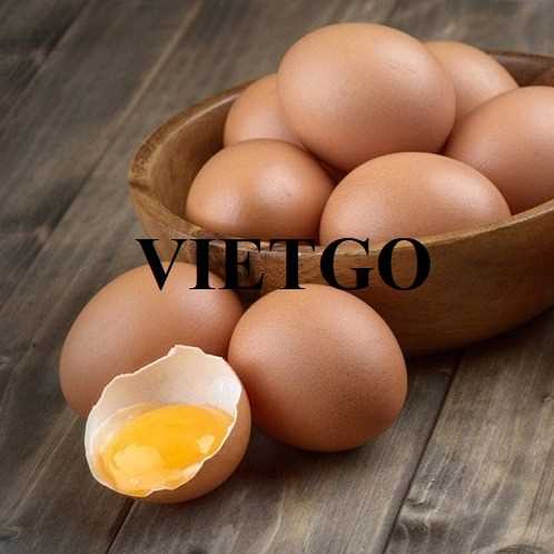 Cơ hội hợp tác xuất khẩu trứng đến thị trường Mỹ