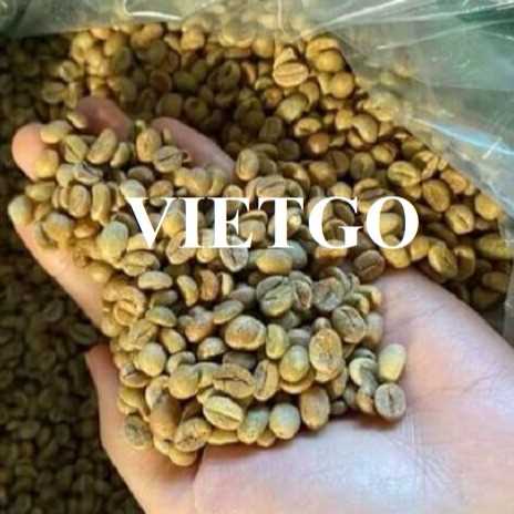 Cơ hội xuất khẩu hạt cà phê xanh Arabica sang thị trường Ả Rập Xê Út
