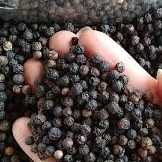 I want to buy black pepper