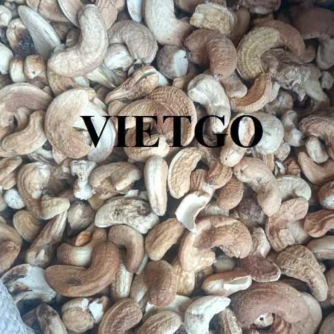 Cơ hội hợp tác xuất khẩu hạt điều đến thị trường Ấn Độ 