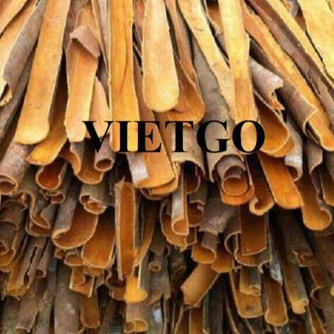 Cơ hội xuất khẩu quế chẻ đến thị trường Bangladesh
