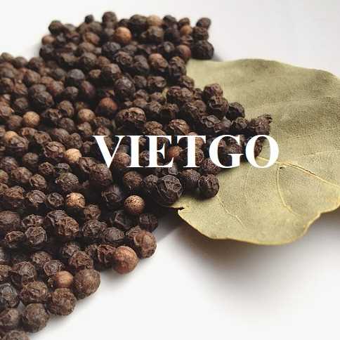 Cơ hội xuất khẩu hạt tiêu đen sang thị trường Hoa Kỳ 