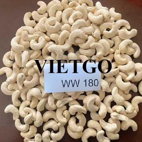 Cơ hội xuất khẩu hạt điều w180, w240 và w320 sang thị trường Trung Quốc