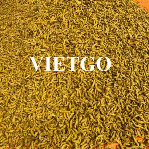 Cơ hội hợp tác xuất khẩu nghệ đến thị trường Ấn Độ    
