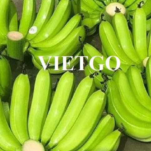 Cơ hội xuất khẩu Chuối Cavendish đến thị trường Trung Quốc