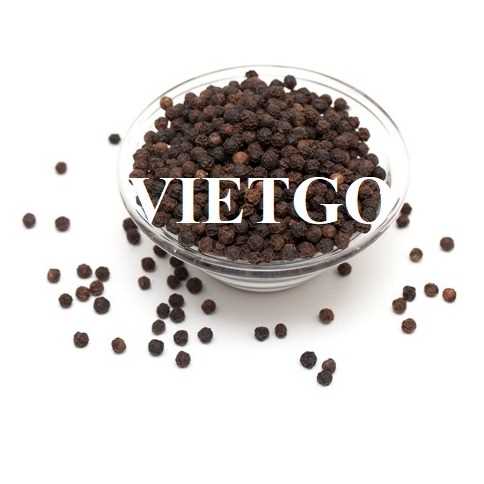 Cơ hội xuất khẩu hạt tiêu đen sang thị trường Bangladesh