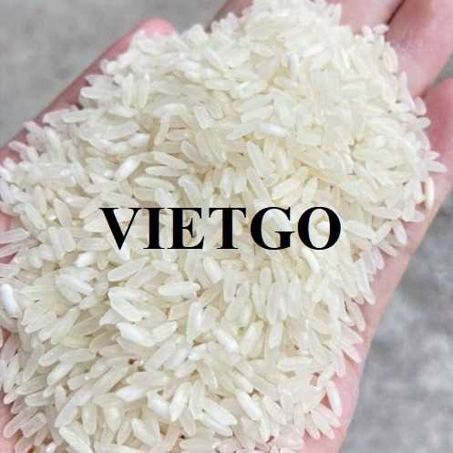 (Gấp) Cơ hội xuất khẩu gạo sang thị trường Philipines