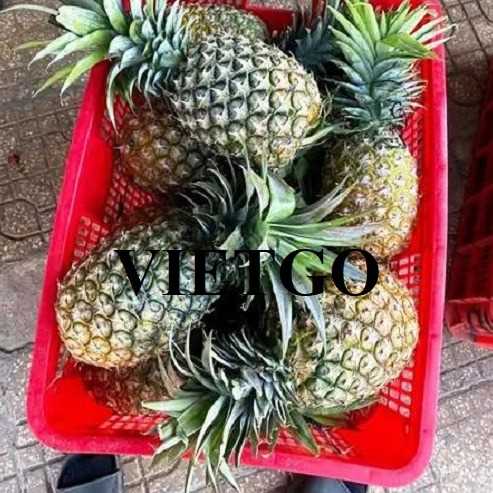 Cơ hội xuất khẩu dứa Queen đến thị trường Ả Rập Xê Út