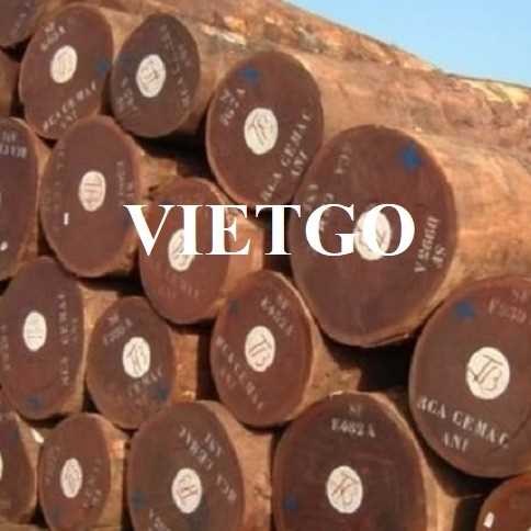Thương vụ xuất khẩu gỗ bạch đàn tròn sang thị trường Ấn Độ