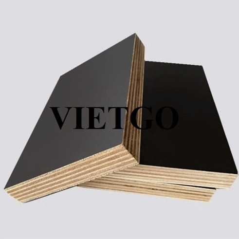 Thương vụ xuất khẩu gỗ dán phủ phim sang thị trường Ấn Độ 
