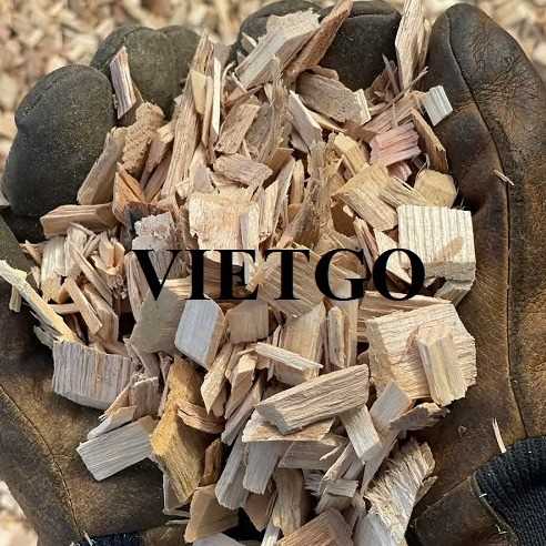 Thương vụ xuất khẩu gỗ vụn sang thị trường Ấn Độ