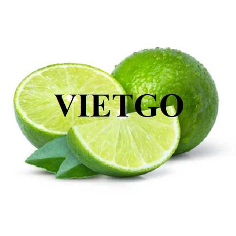 Cơ hội hợp tác xuất khẩu chanh xanh không hạt đến thị trường Oman