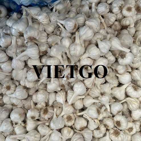 Cơ hội xuất khẩu tỏi trắng sang thị trường Malaysia