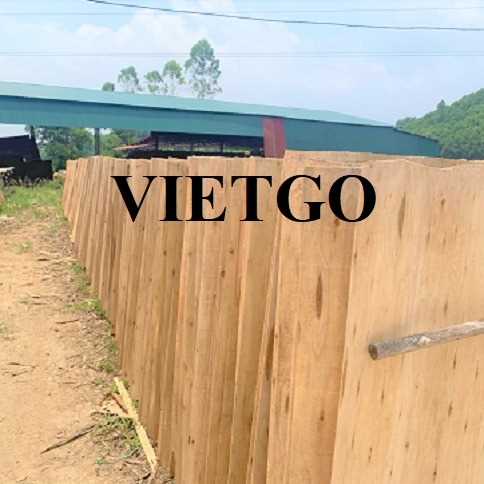 Thương vụ xuất khẩu ván bóc sang thị trường Ấn Độ