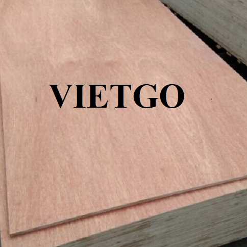 Thương vụ xuất khẩu gỗ dán sang thị trường Ấn Độ