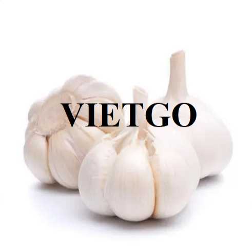 Cơ hội hợp tác xuất khẩu tỏi đến thị trường Oman