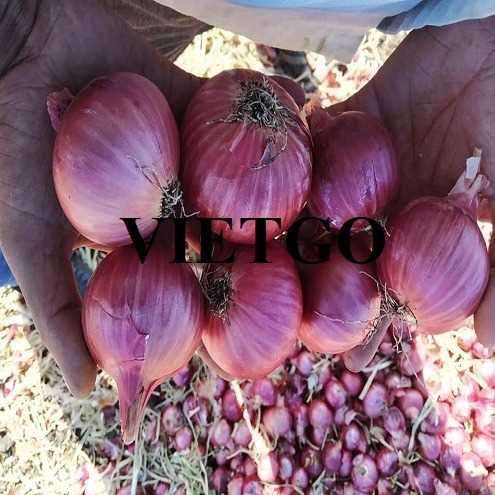 Cơ hội hợp tác xuất khẩu hành đến thị trường Ả Rập Xê Út