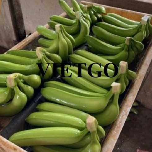 Cơ hội xuất khẩu chuối đến thị trường Iran
