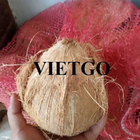 Cơ hội hợp tác xuất khẩu dừa khô lột vỏ đến thị trường Malaysia