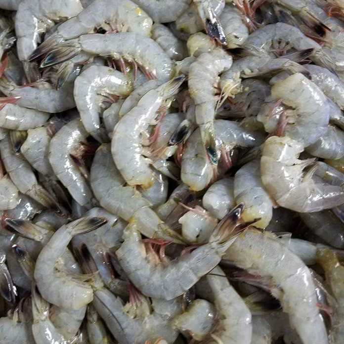 i'm looking for shrimp