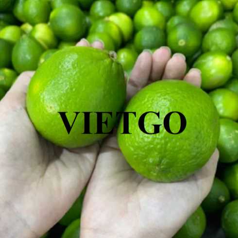 Cơ hội xuất khẩu chanh đến thị trường Trung Quốc