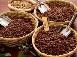 Cần tìm nhà cung cấp sản phẩm cà phê Robusta và Arabica cho đơn hàng xuất khẩu