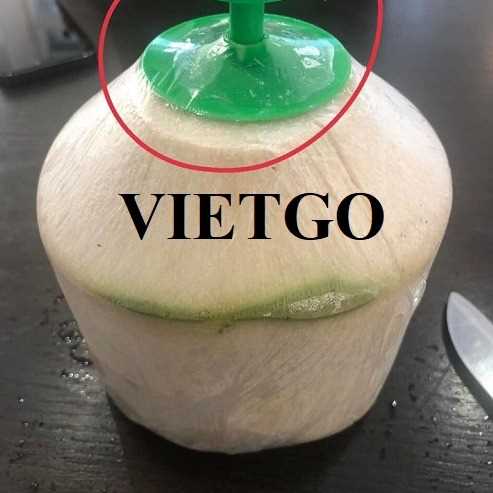 Cơ hội xuất khẩu dừa gọt kim cương sang Trung Quốc