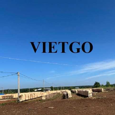 Thương vụ xuất khẩu ván bóc sang thị trường Ấn Độ
