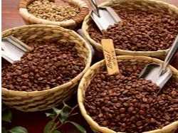Cần tìm đơn vị vận tải vận chuyển mặt hàng cafe đi Pakistan